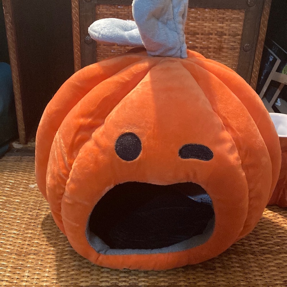 Pumpkin Nesting house /Pet Bed for small animal NWOT